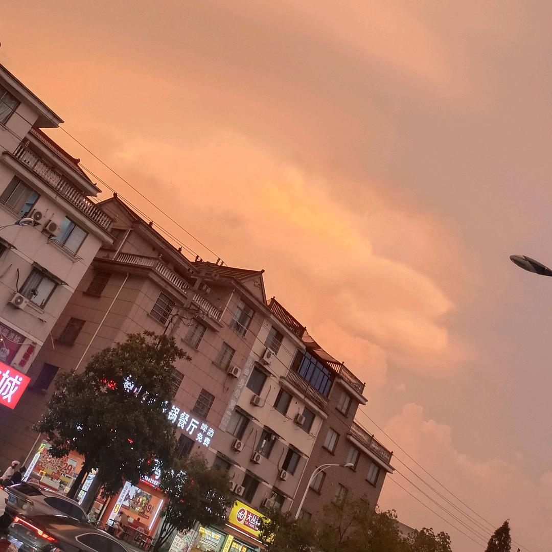 《爱拼才会赢》_83569