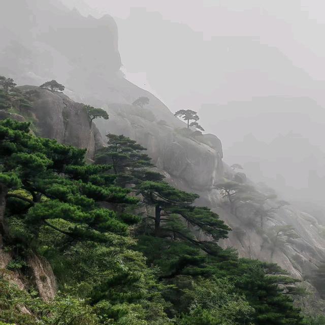 怡