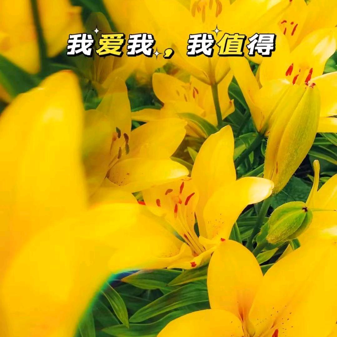 Ong啊吽