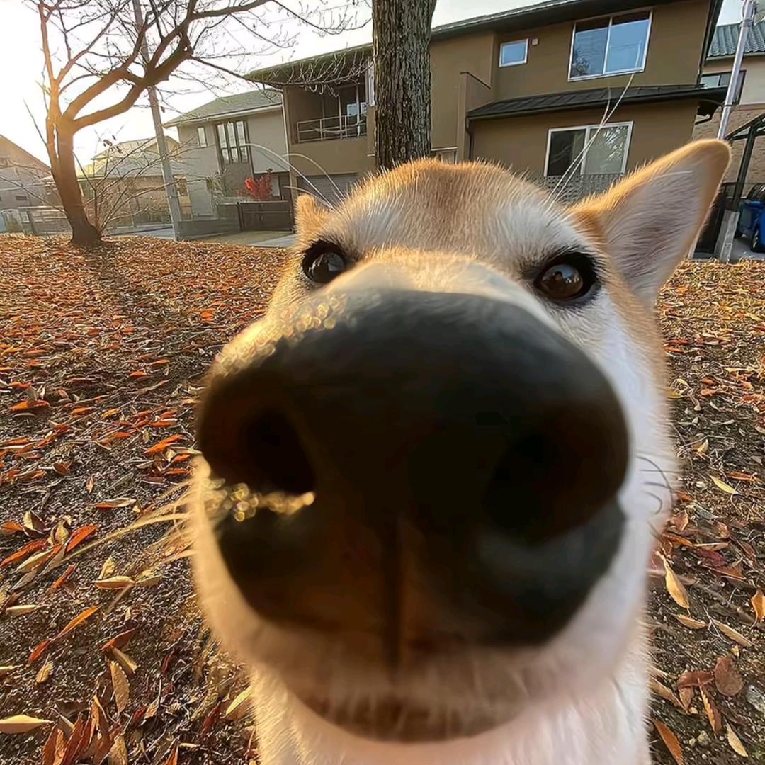 Ze.