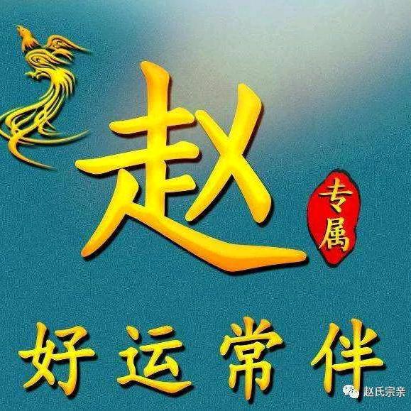 晨阳哥