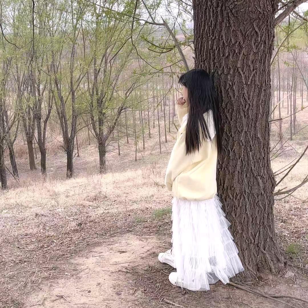 米老鼠和唐老鸭