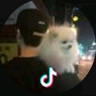 陈明宇