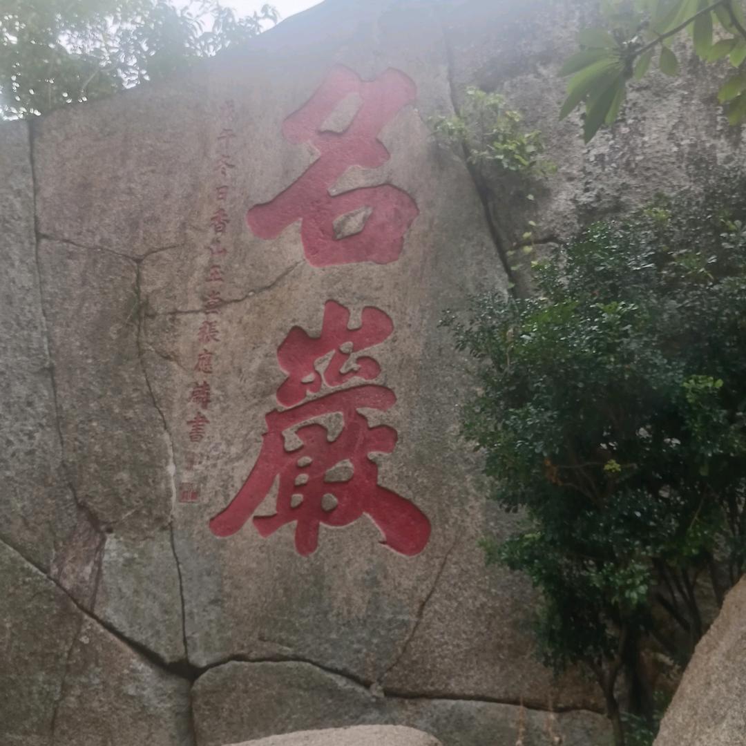 今生无悔