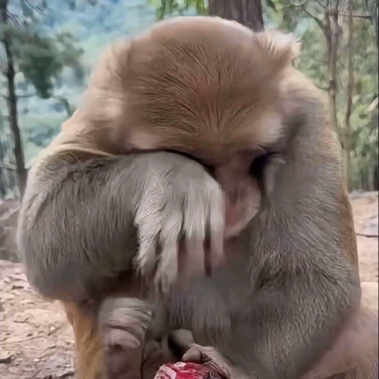 请善待二旬老人🌚