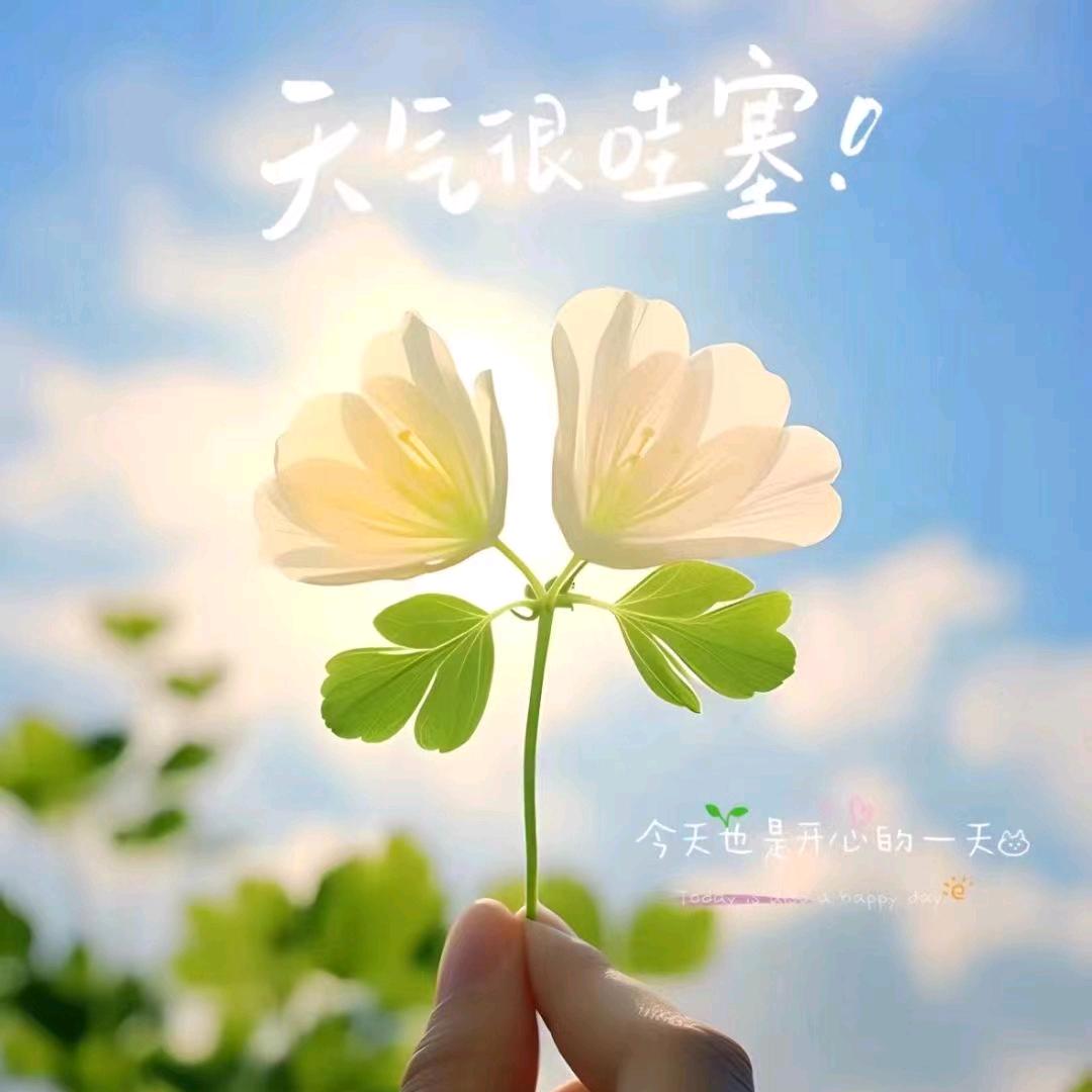 怡忘过去