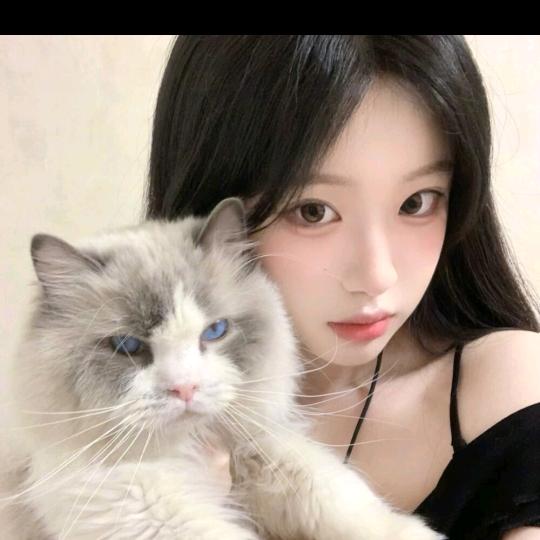 助理婷婷