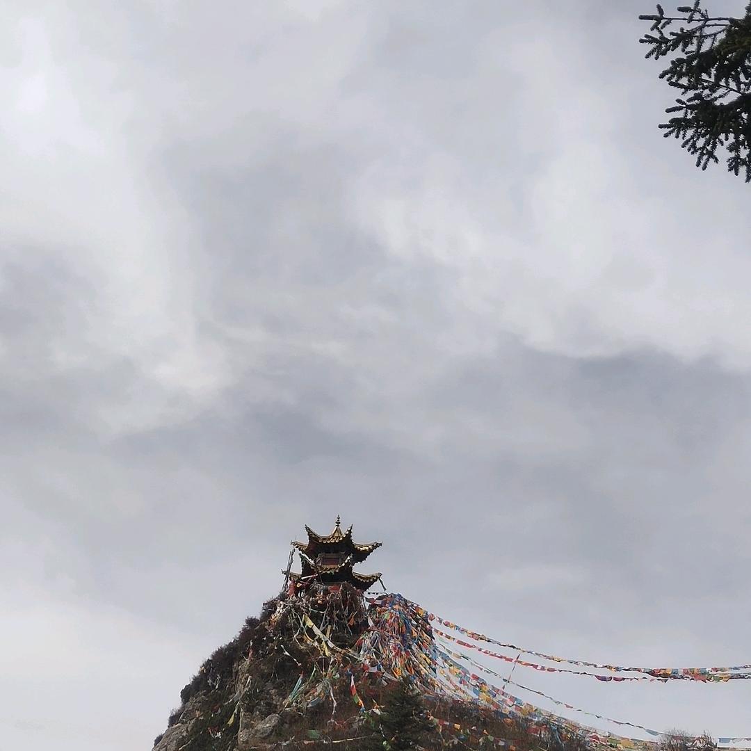 清荧