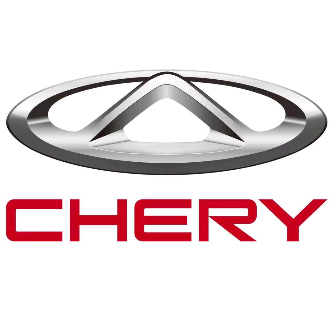 海南九恒奇瑞汽车总经理-老吴