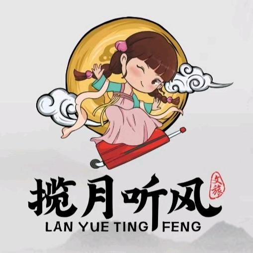 揽月听风线路定制版