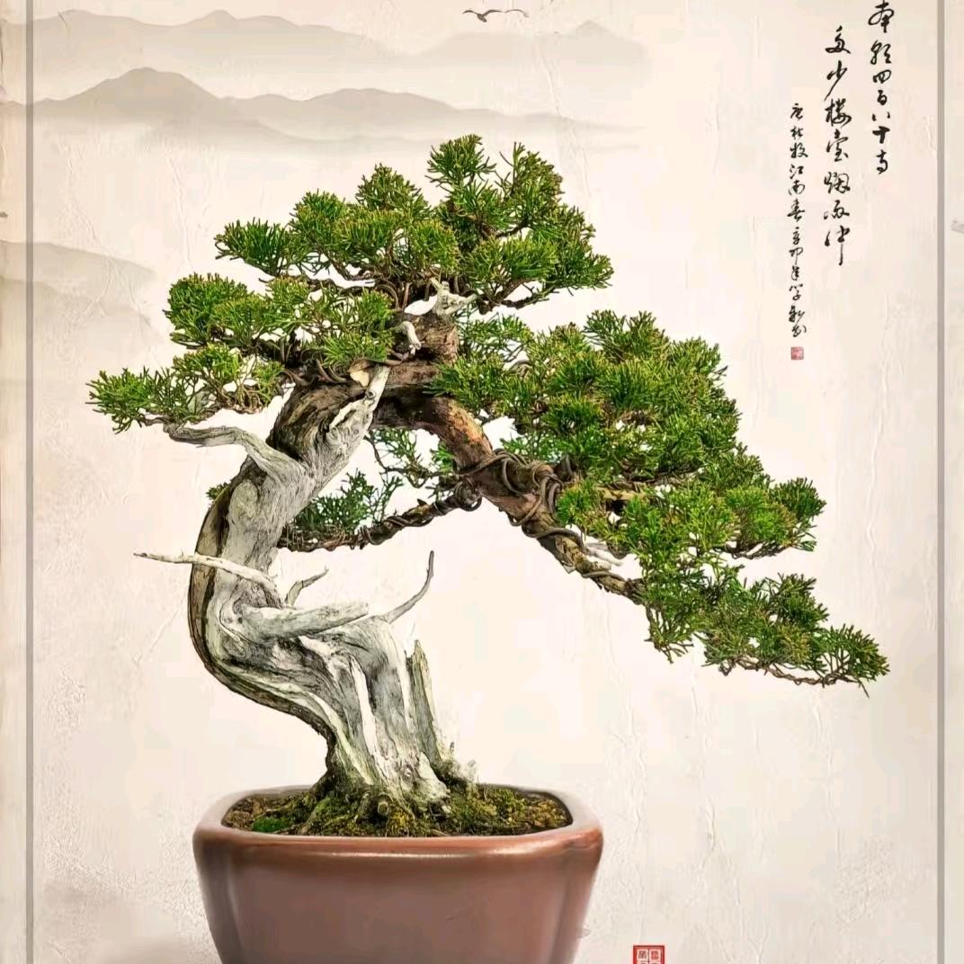 稷山晓英花卉优品小铺