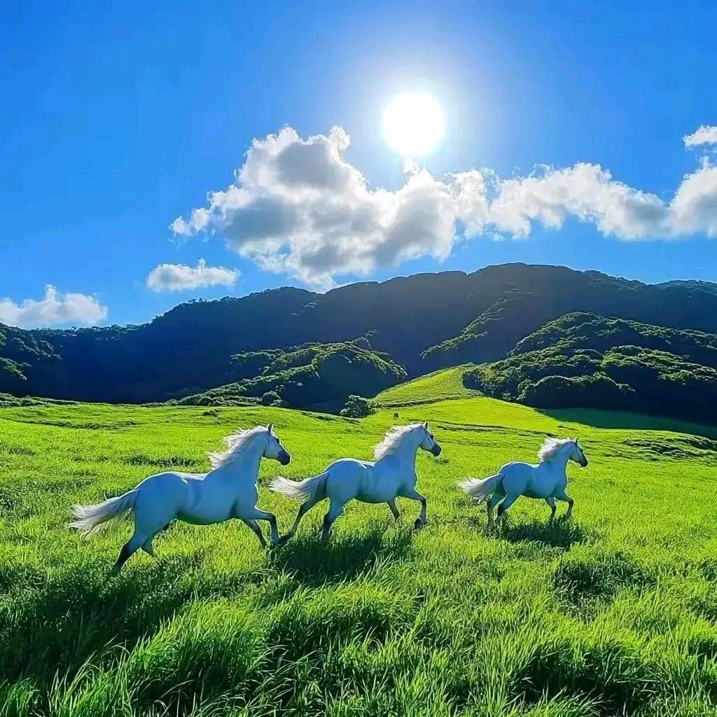 俊杰