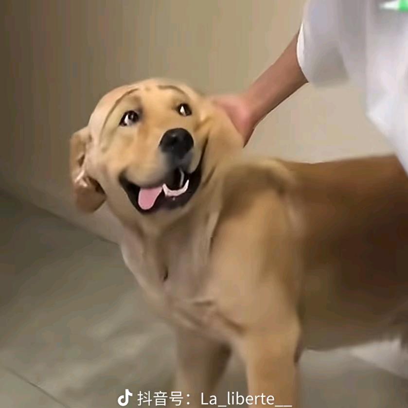 海肿《2588》