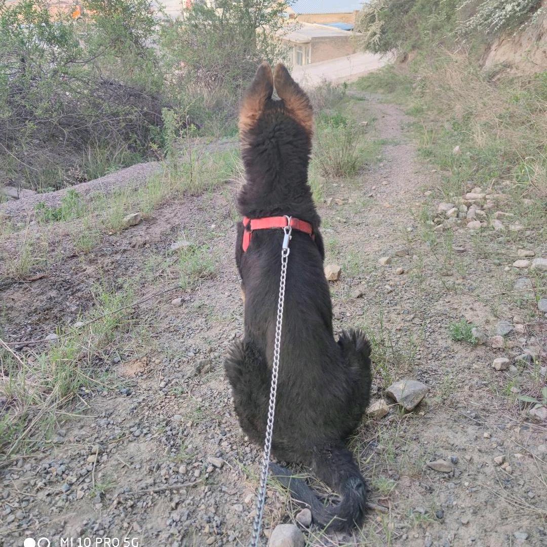 友友哥哥