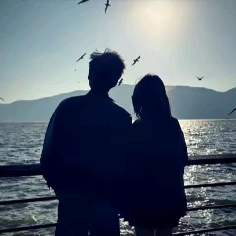 酸菜不酸🍁⚜️