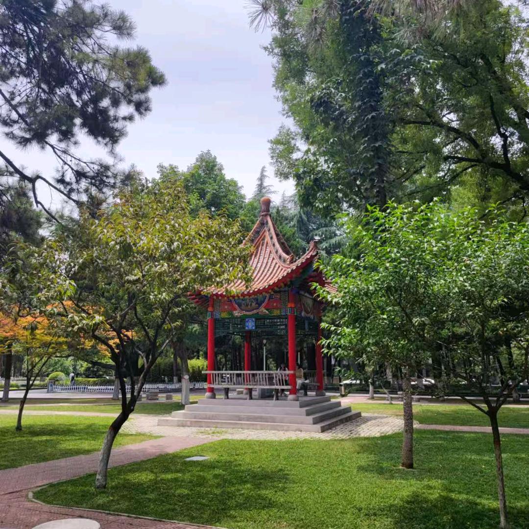 春天的小燕子