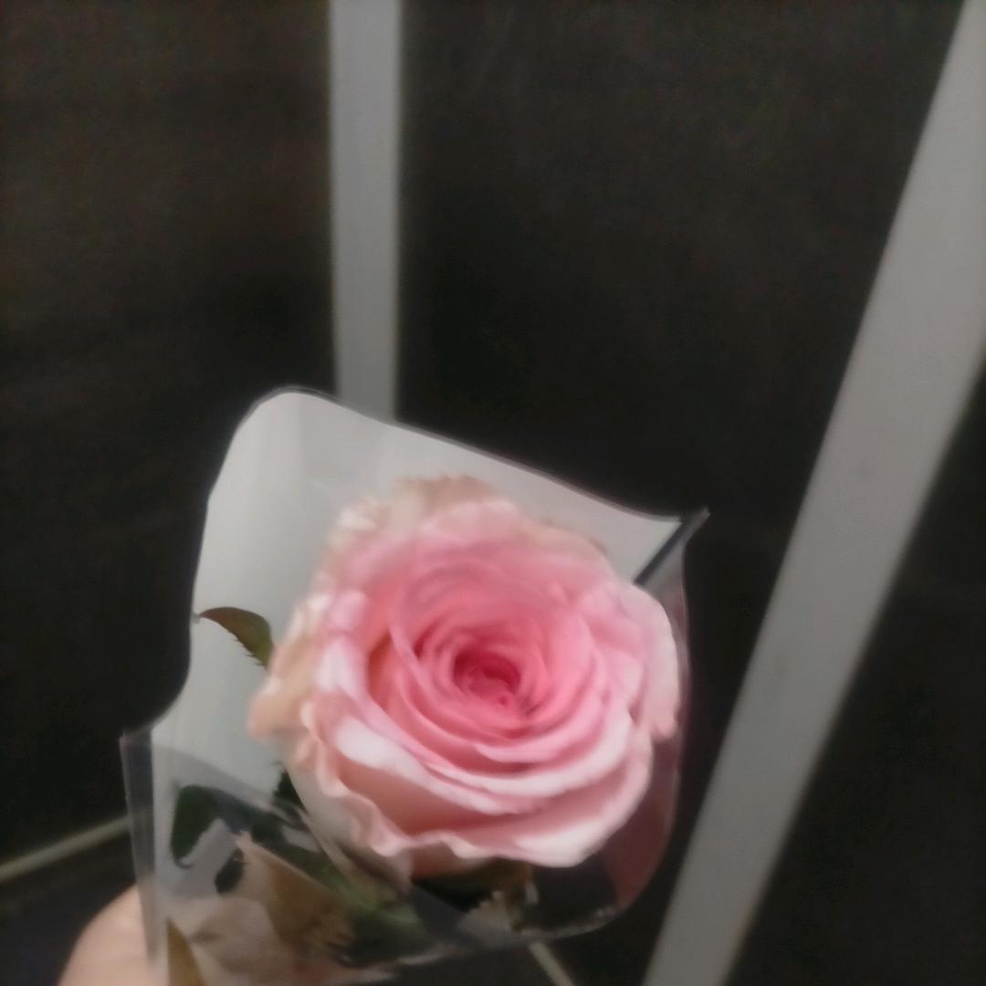 cn雾忧