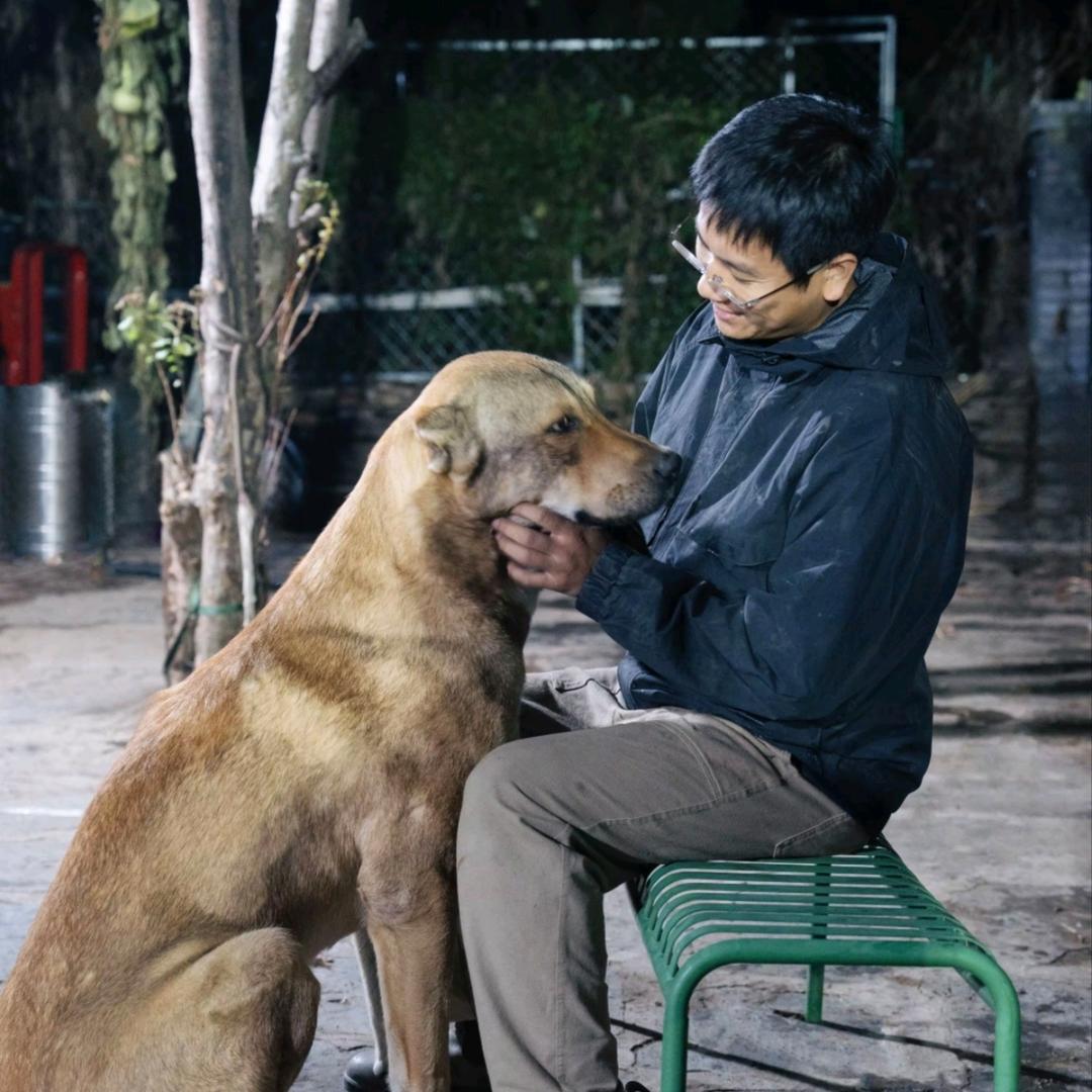 黄黄大松鼠（直播切片）