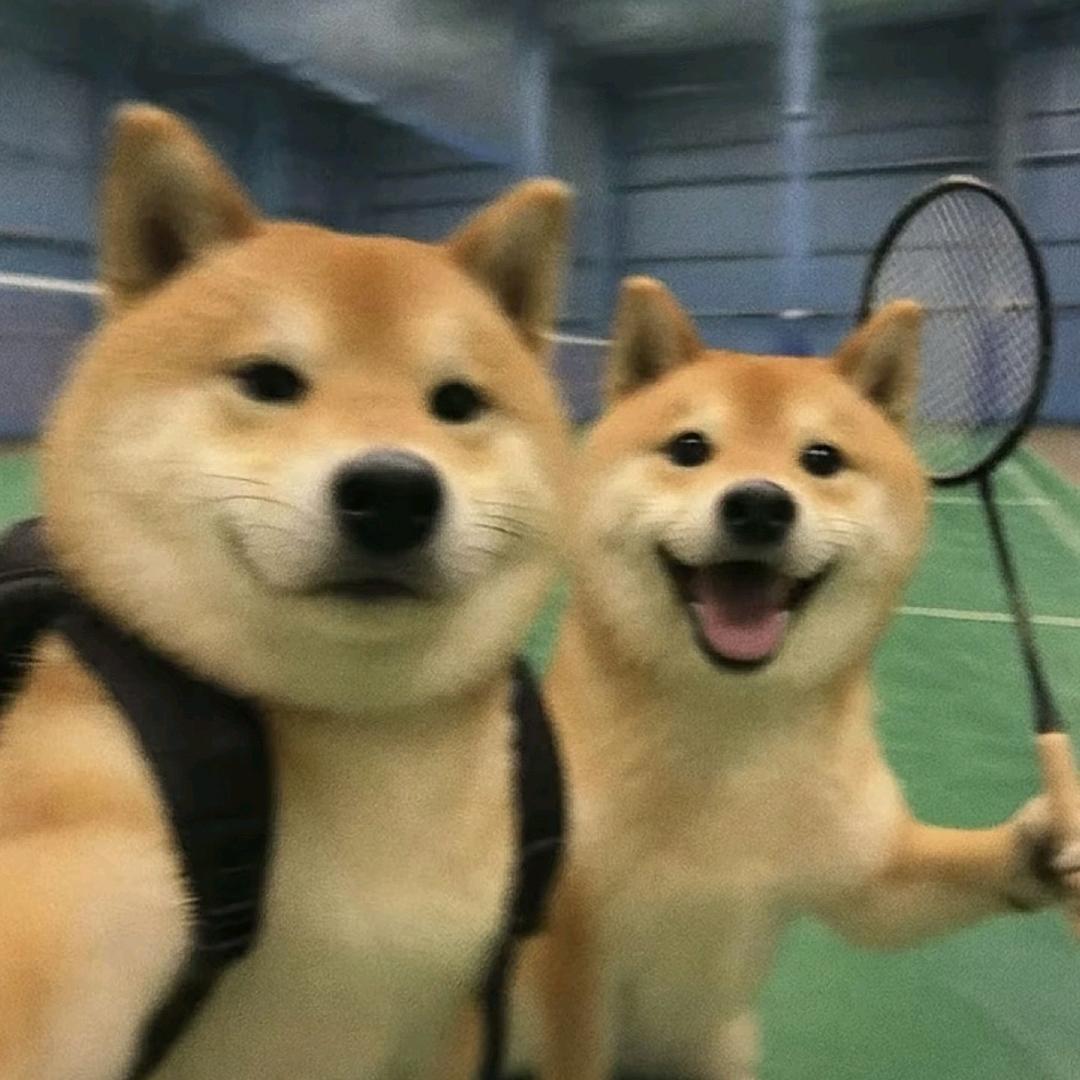 芥末厉害.