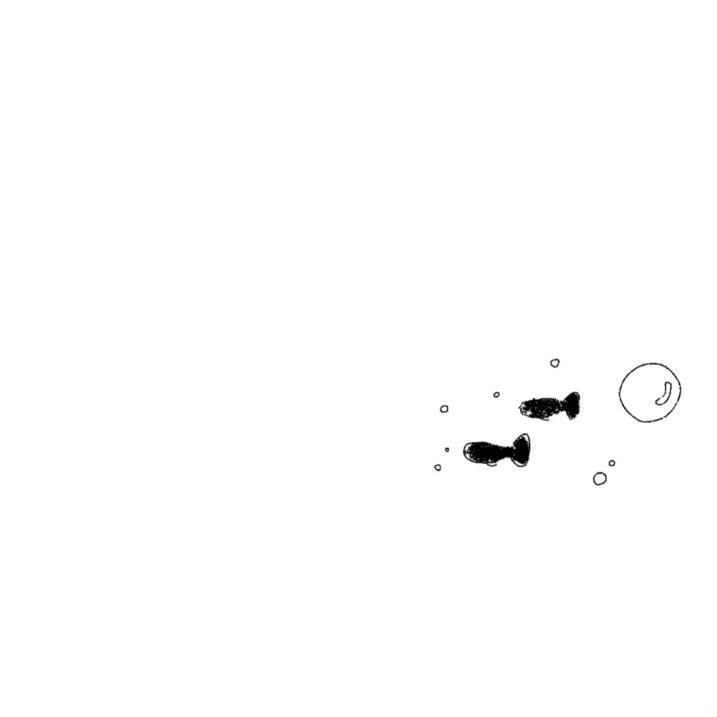 A          🐠