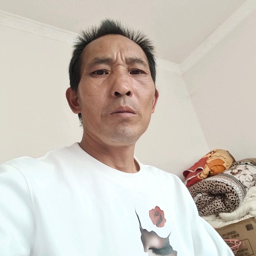 小山灌木金弹孑