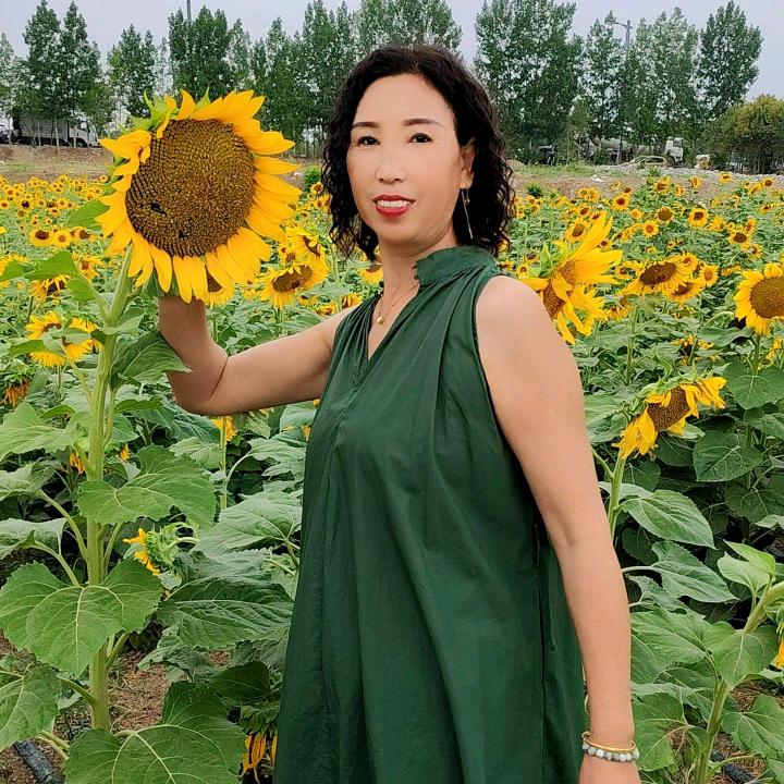 风银