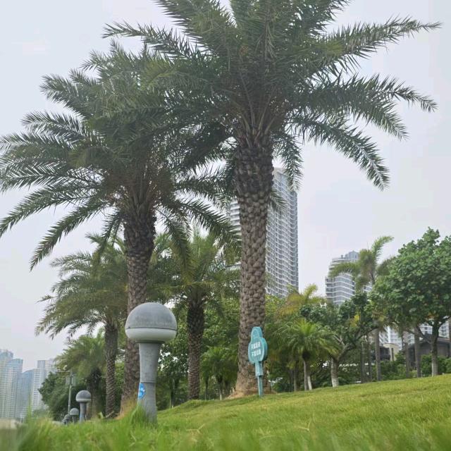 存在