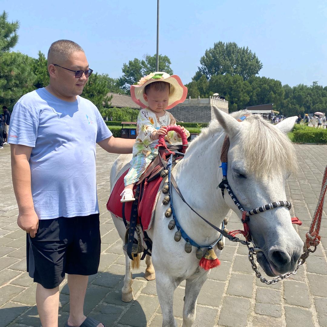 🍻天若有情🥂