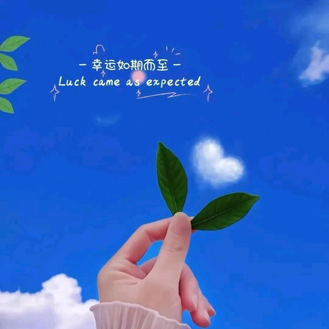 🍒🍑岁月静好🍇🍓🫐