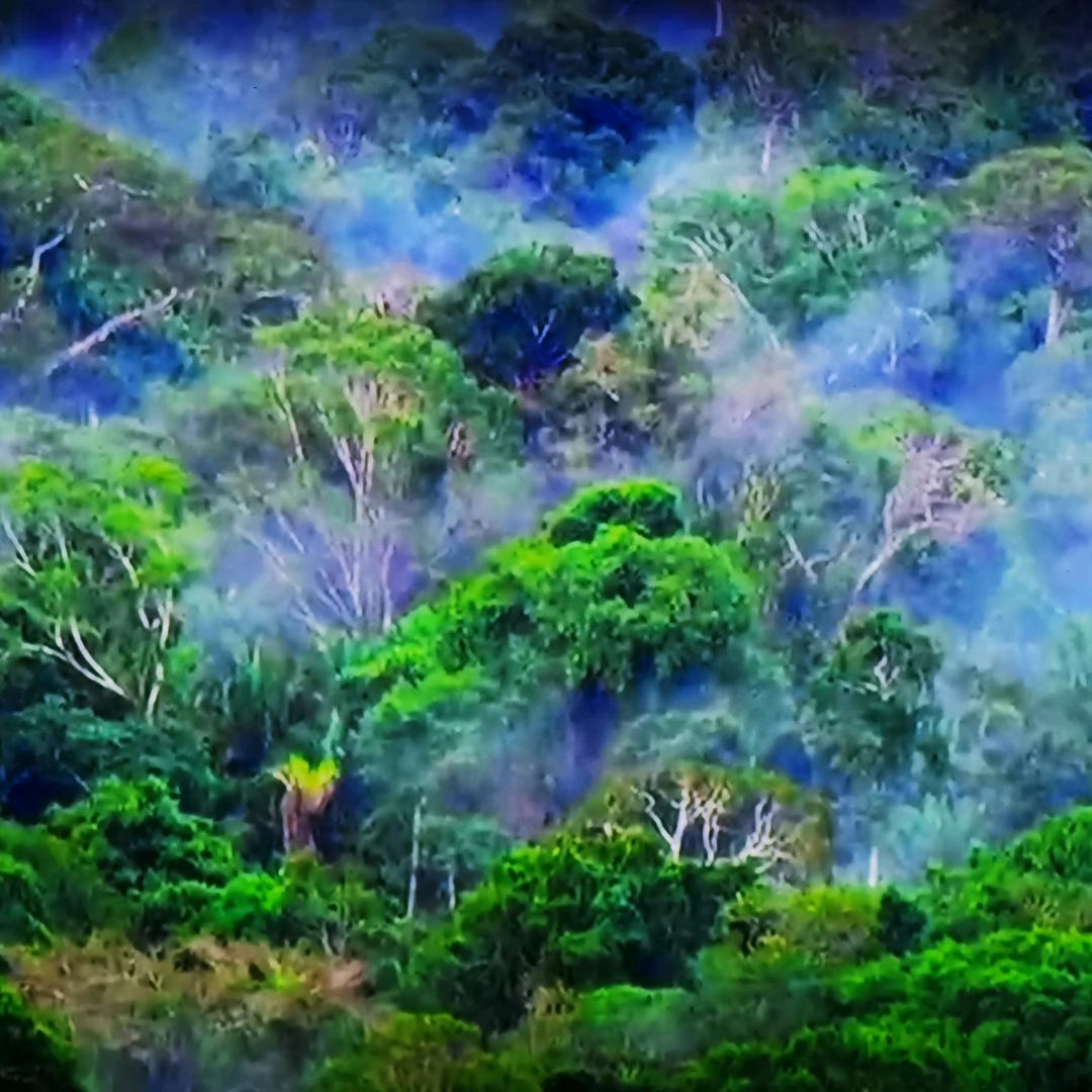 笑看人生💜💝💑