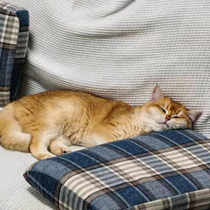 Atopos（攒石头版）