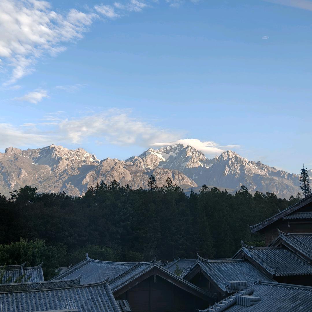 知流
