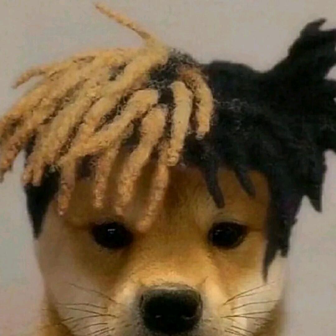 玖