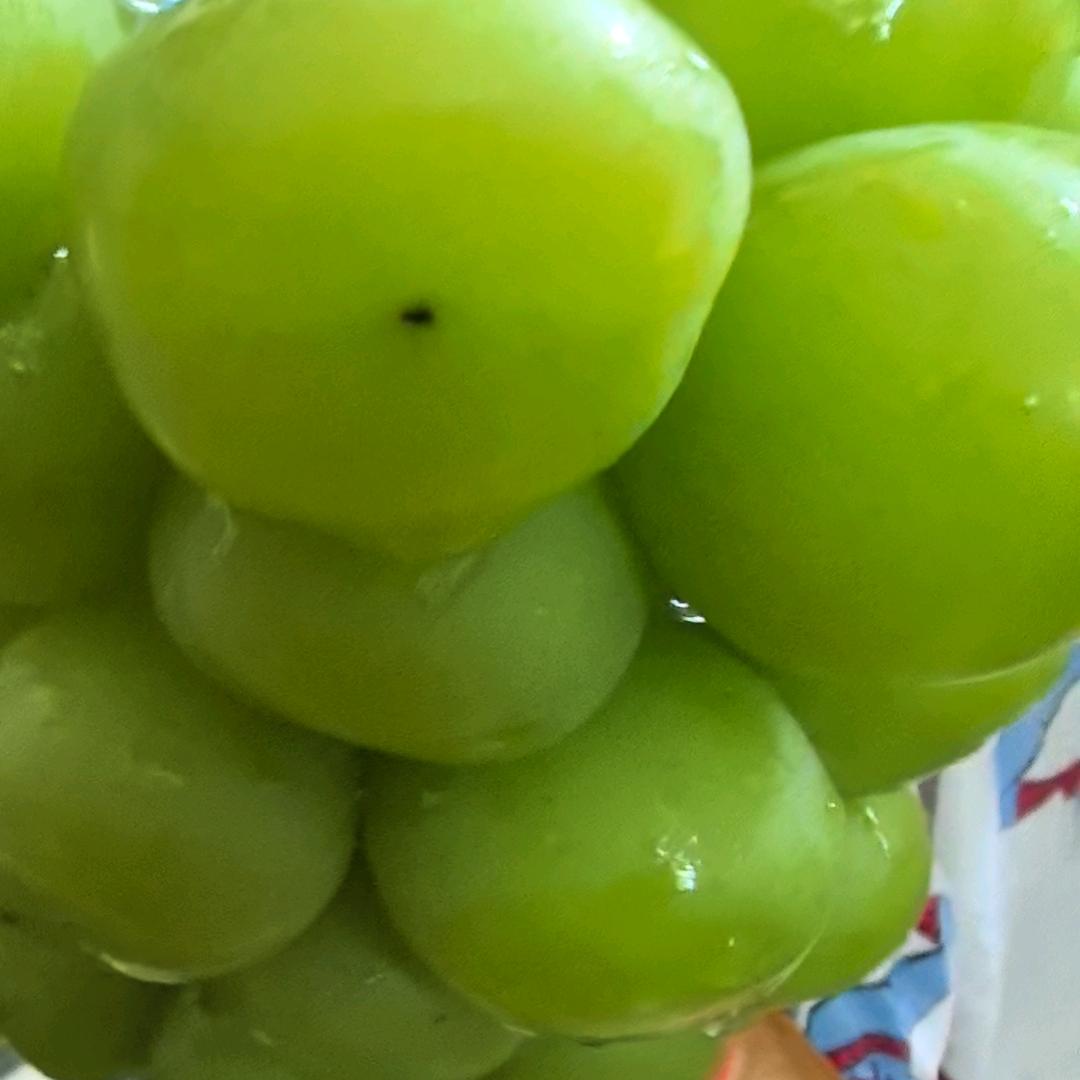 🍓草莓姐姐🍓