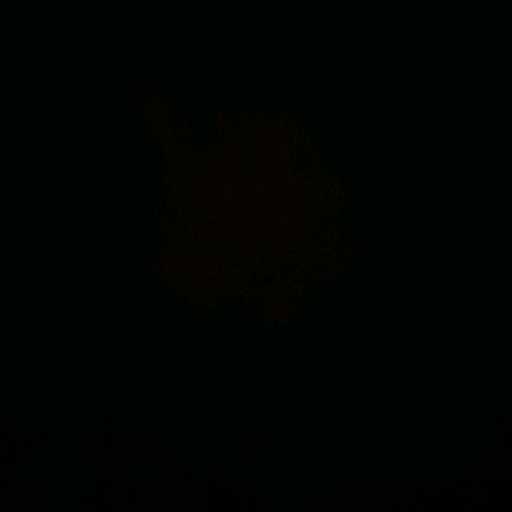 真相大白