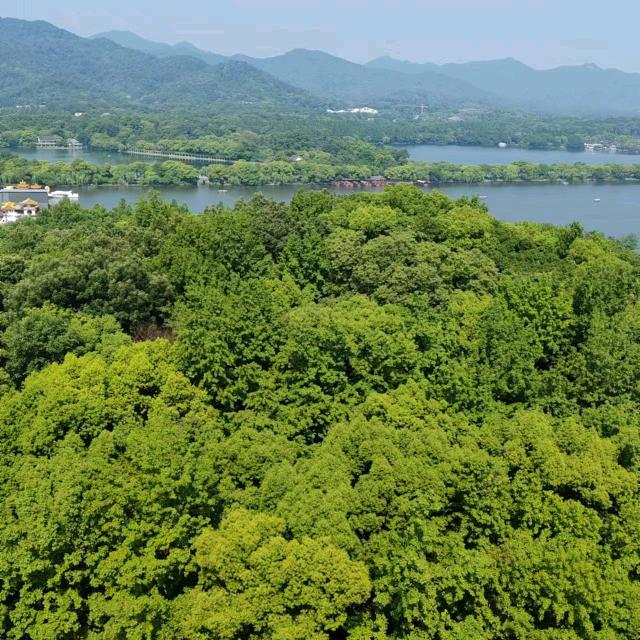 长安区程华眼镜店