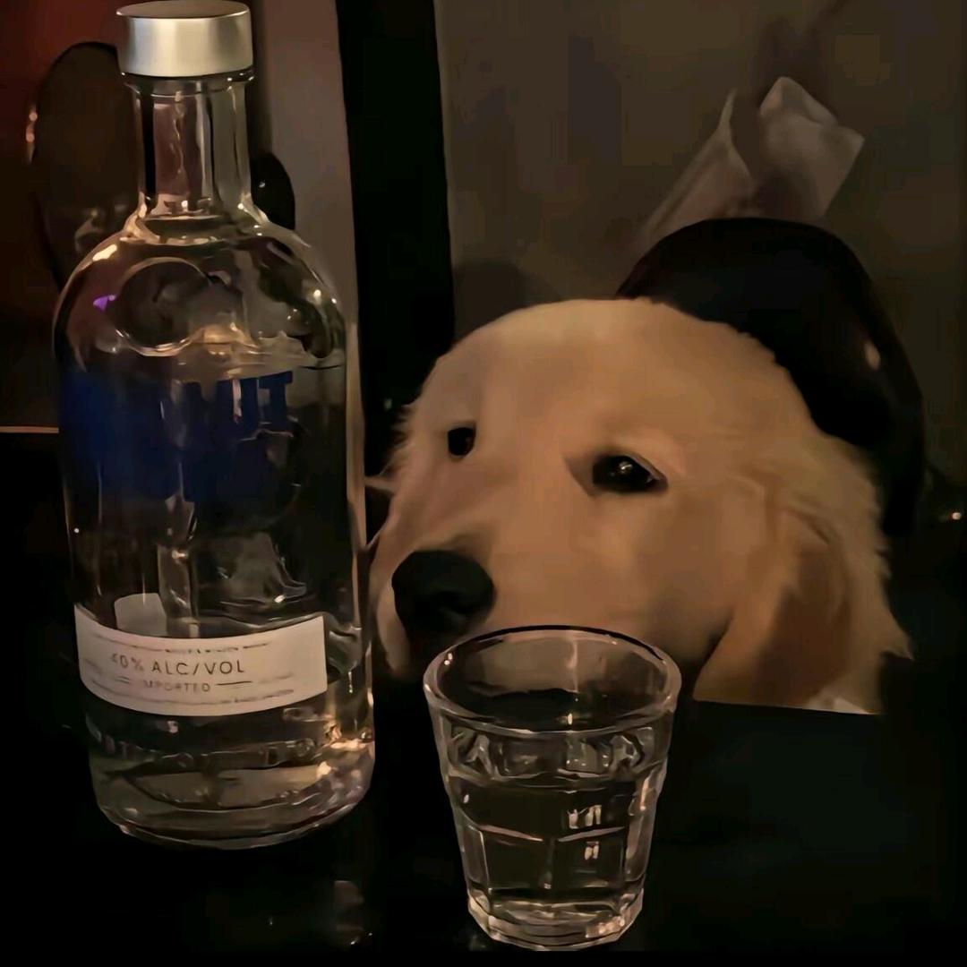 65756995