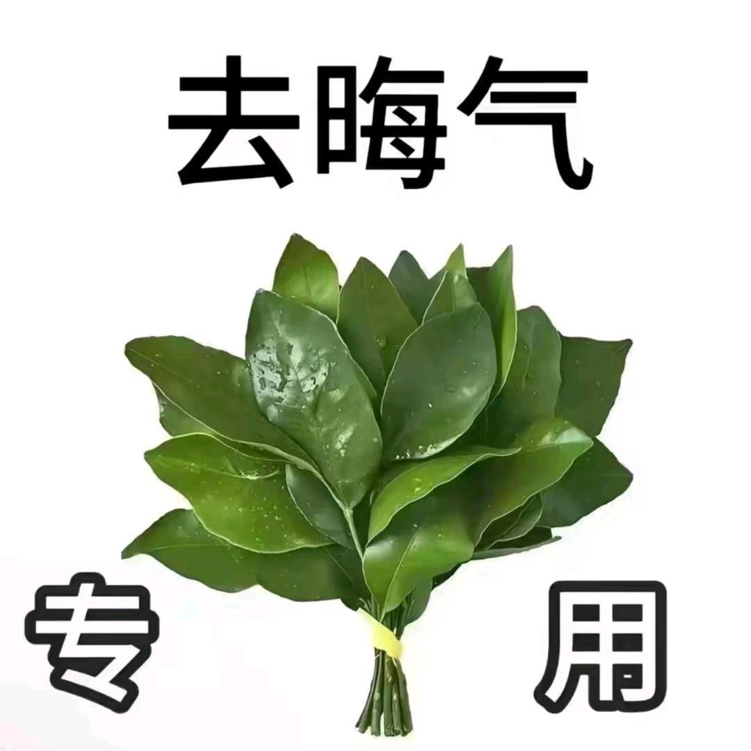 圆小异