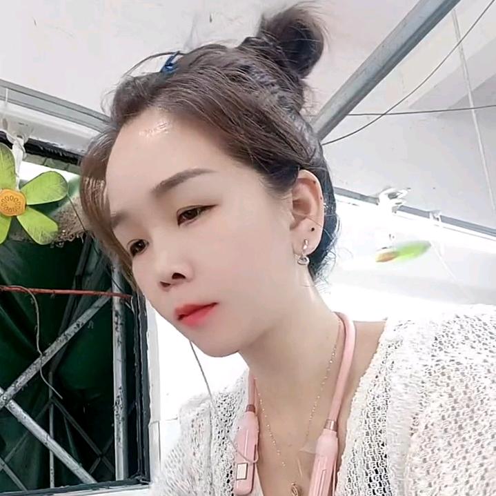 @燕子
