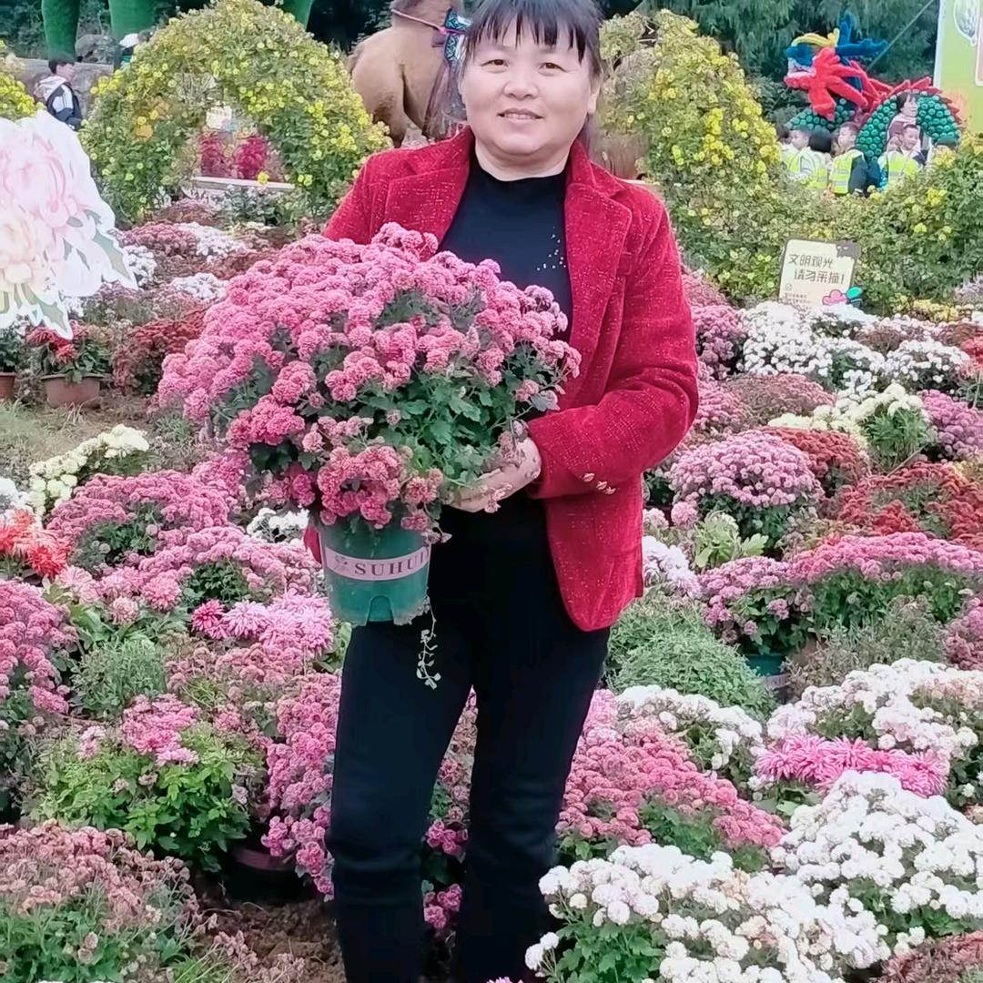 戴琬舒