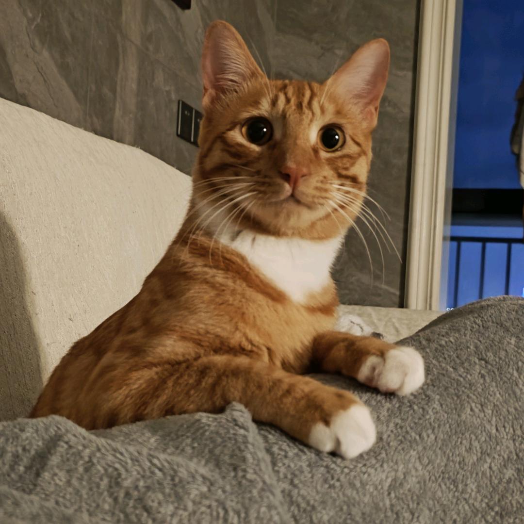 我再也不抽象了