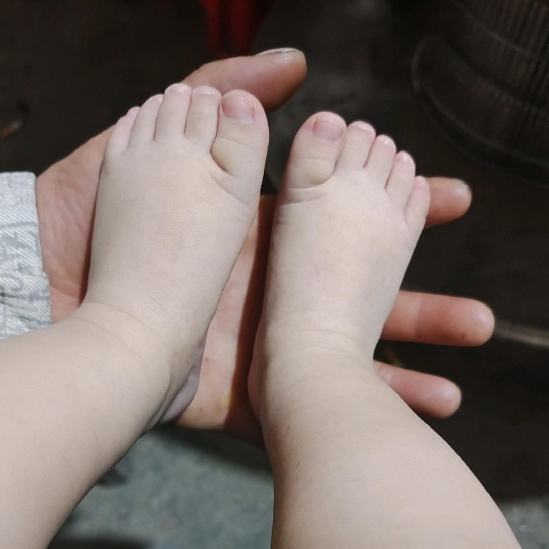 肉肉的团子
