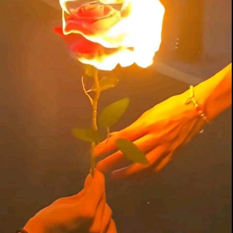 蔬小菜