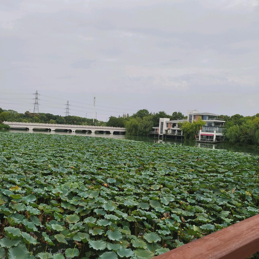 快乐是阳光🌾