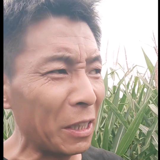 农村贾哥