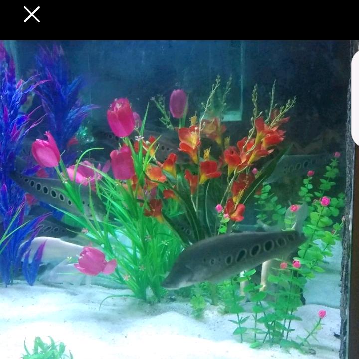 ？？？？