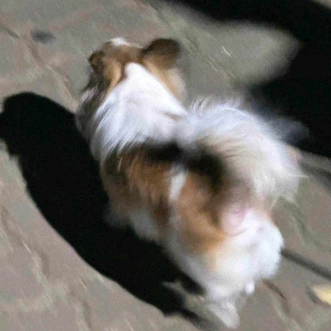 kikibebee