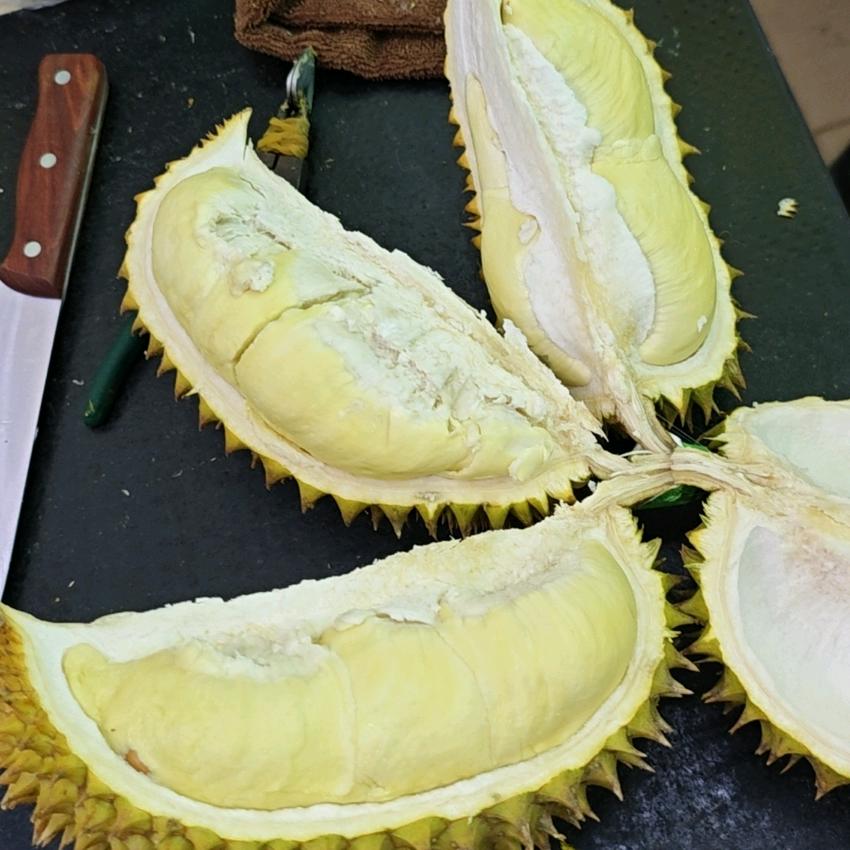 榴莲岛（三亚）