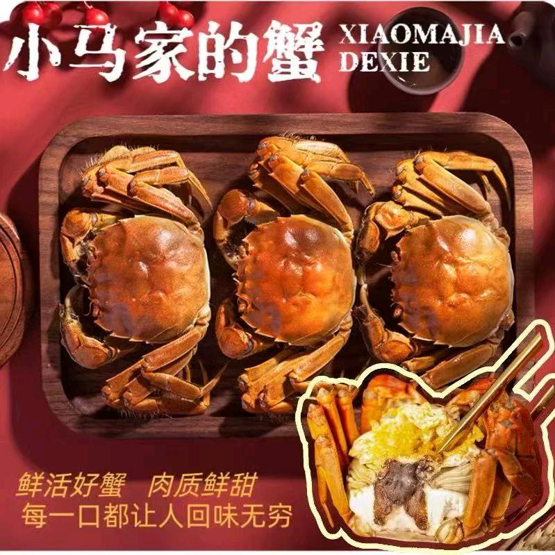 小马家的蟹