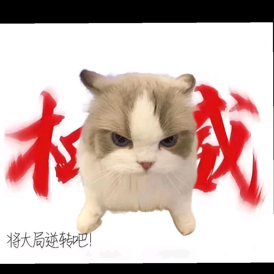 大聪明@